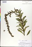 000027966-thumbnail.jpg