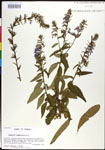 000027967-thumbnail.jpg