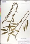 000027972-thumbnail.jpg