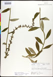 000027976-thumbnail.jpg