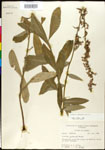 000027982-thumbnail.jpg