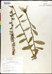 000027984-thumbnail.jpg