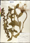 000027989-thumbnail.jpg