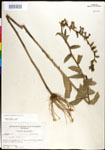 000027990-thumbnail.jpg