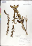 000027991-thumbnail.jpg