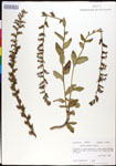 000027995-thumbnail.jpg