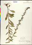 000027996-thumbnail.jpg