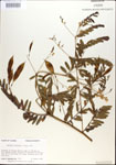 000029706-thumbnail.jpg