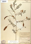 000029707-thumbnail.jpg