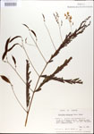 000029709-thumbnail.jpg