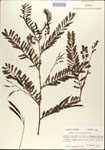 000029710-thumbnail.jpg