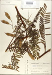 000029712-thumbnail.jpg