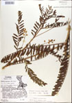 000029713-thumbnail.jpg
