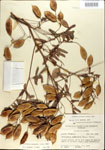 000029714-thumbnail.jpg