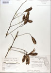 000029715-thumbnail.jpg