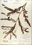 000029717-thumbnail.jpg