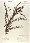 000029718-thumbnail.jpg