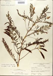 000029719-thumbnail.jpg