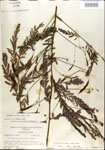 000029720-thumbnail.jpg