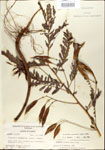 000029721-thumbnail.jpg