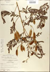 000029722-thumbnail.jpg