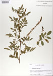000029752-thumbnail.jpg