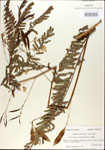 000030084-thumbnail.jpg