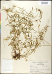 000030872-thumbnail.jpg