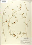 000030876-thumbnail.jpg
