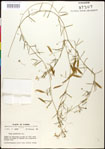 000030908-thumbnail.jpg