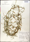 000030911-thumbnail.jpg