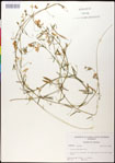 000030920-thumbnail.jpg