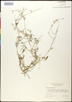 000030921-thumbnail.jpg