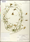 000030924-thumbnail.jpg