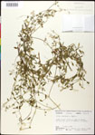 000030949-thumbnail.jpg