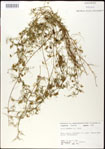 000030963-thumbnail.jpg
