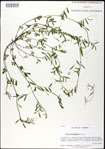 000030967-thumbnail.jpg