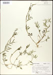 000030969-thumbnail.jpg