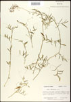 000030970-thumbnail.jpg