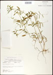 000030975-thumbnail.jpg
