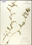 000030992-thumbnail.jpg
