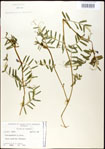 000030994-thumbnail.jpg