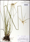 000031309-thumbnail.jpg