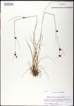 000031310-thumbnail.jpg