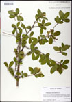 000031319-thumbnail.jpg