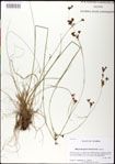 000031329-thumbnail.jpg