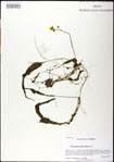 000031333-thumbnail.jpg