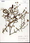 000032236-thumbnail.jpg