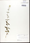 000034843-thumbnail.jpg