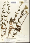 000034844-thumbnail.jpg